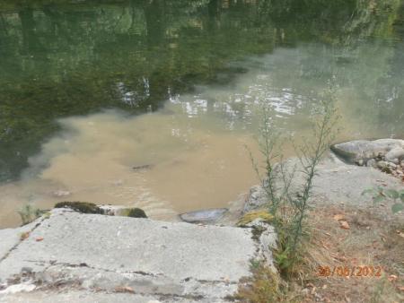 Re: EL ASON CONTAMINADO